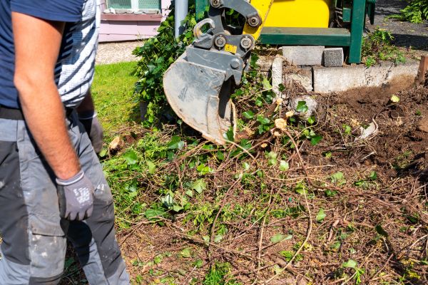 Hedge Removal Service in Marion