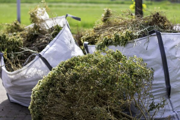 Shrubs Removal in Marion