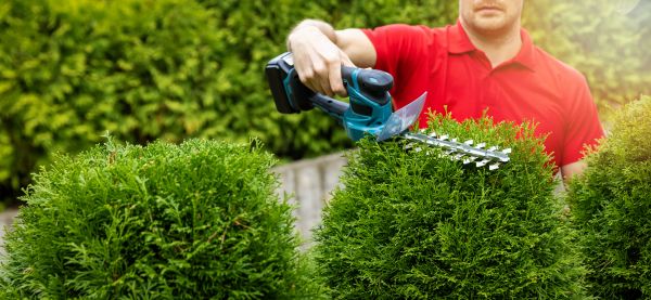 Cost of Hedge Shaping Service in Marion