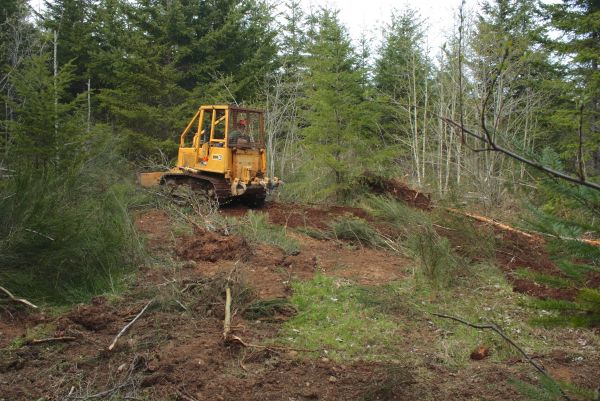 Cost of Shrubbery Clearing in Marion