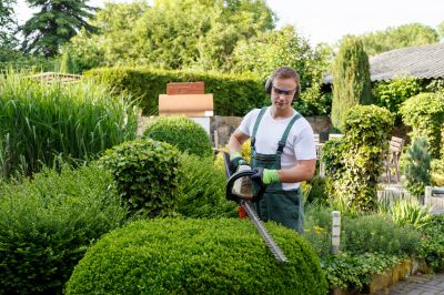 Professional Shrub Maintenance